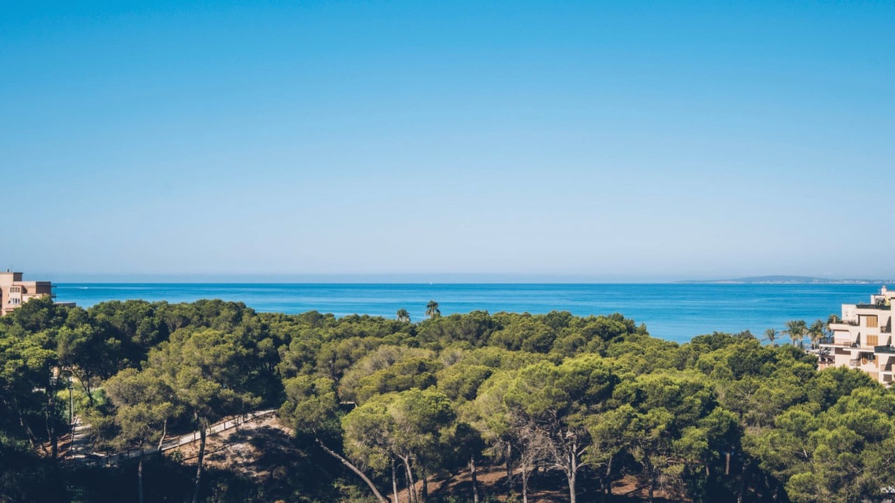 Photo of Outdoor in Ses Cadenes