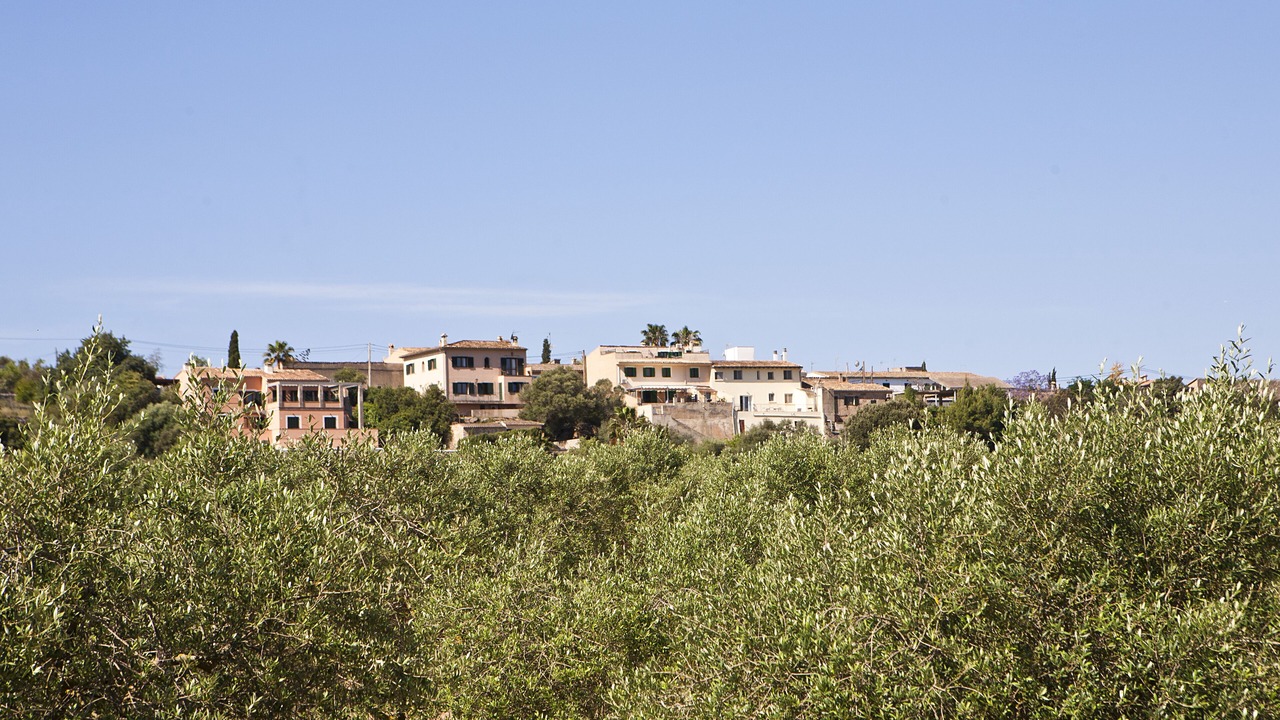 Photo of Outdoor in Sa Cabaneta