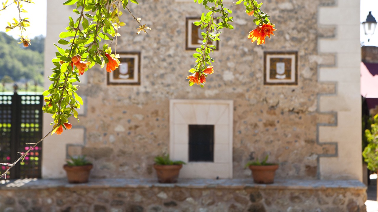 Photo of Outdoor in Sa Cabaneta