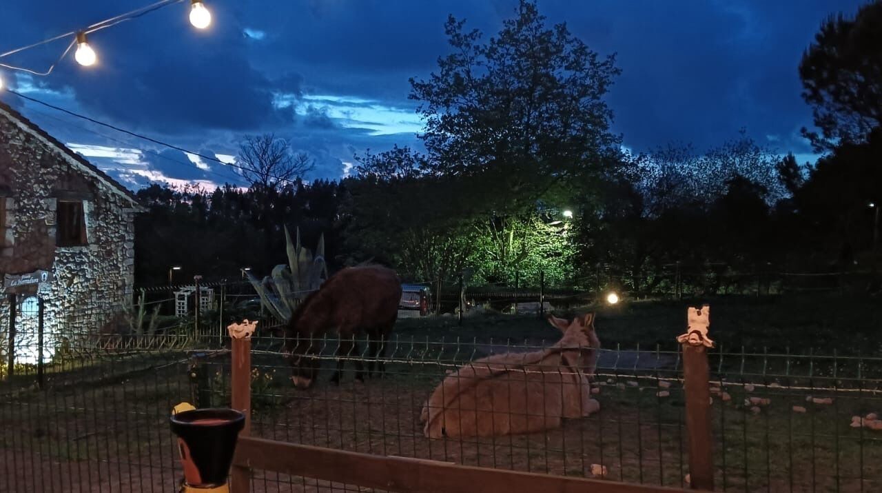 Photo of Outdoor in Ribamontan al Monte