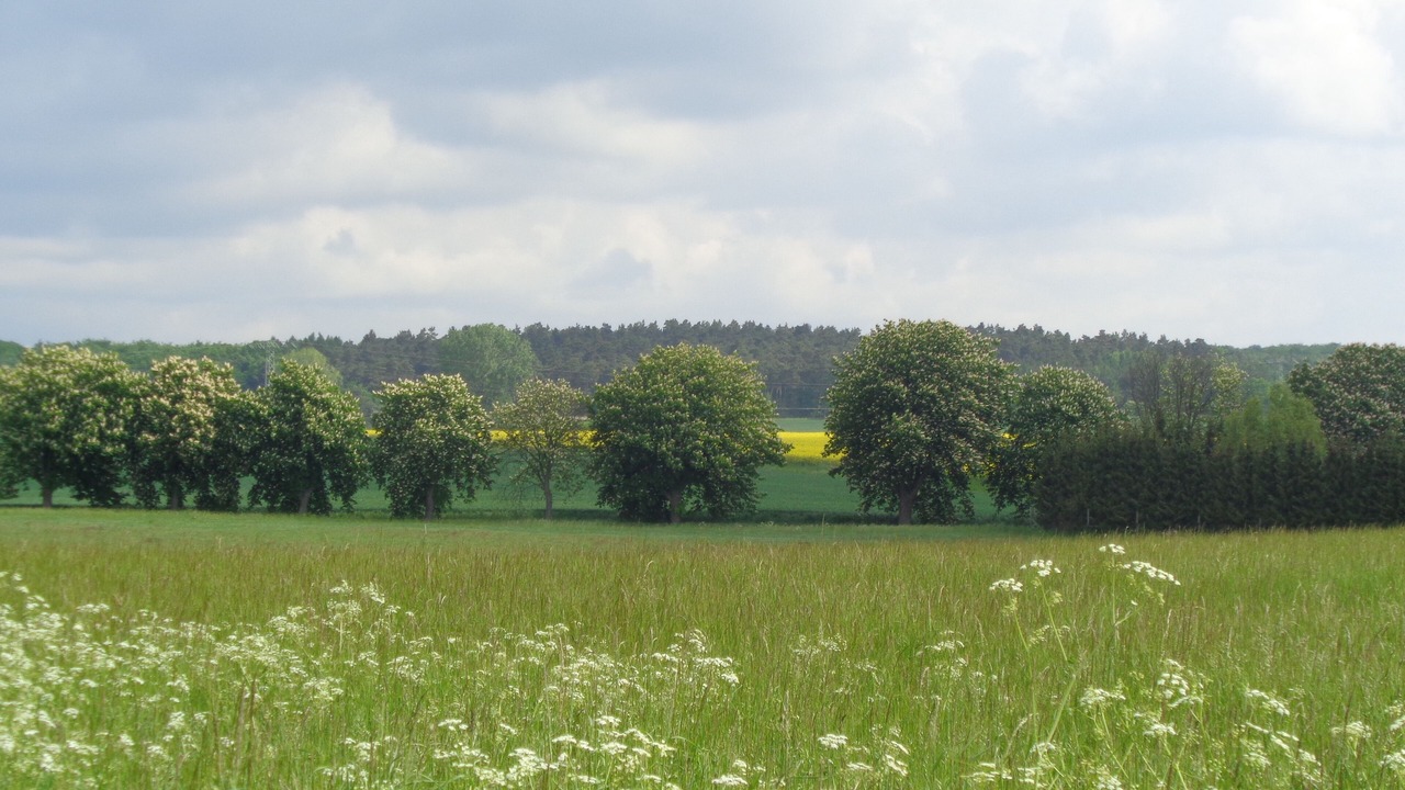 Photo of Others in Eimersleben