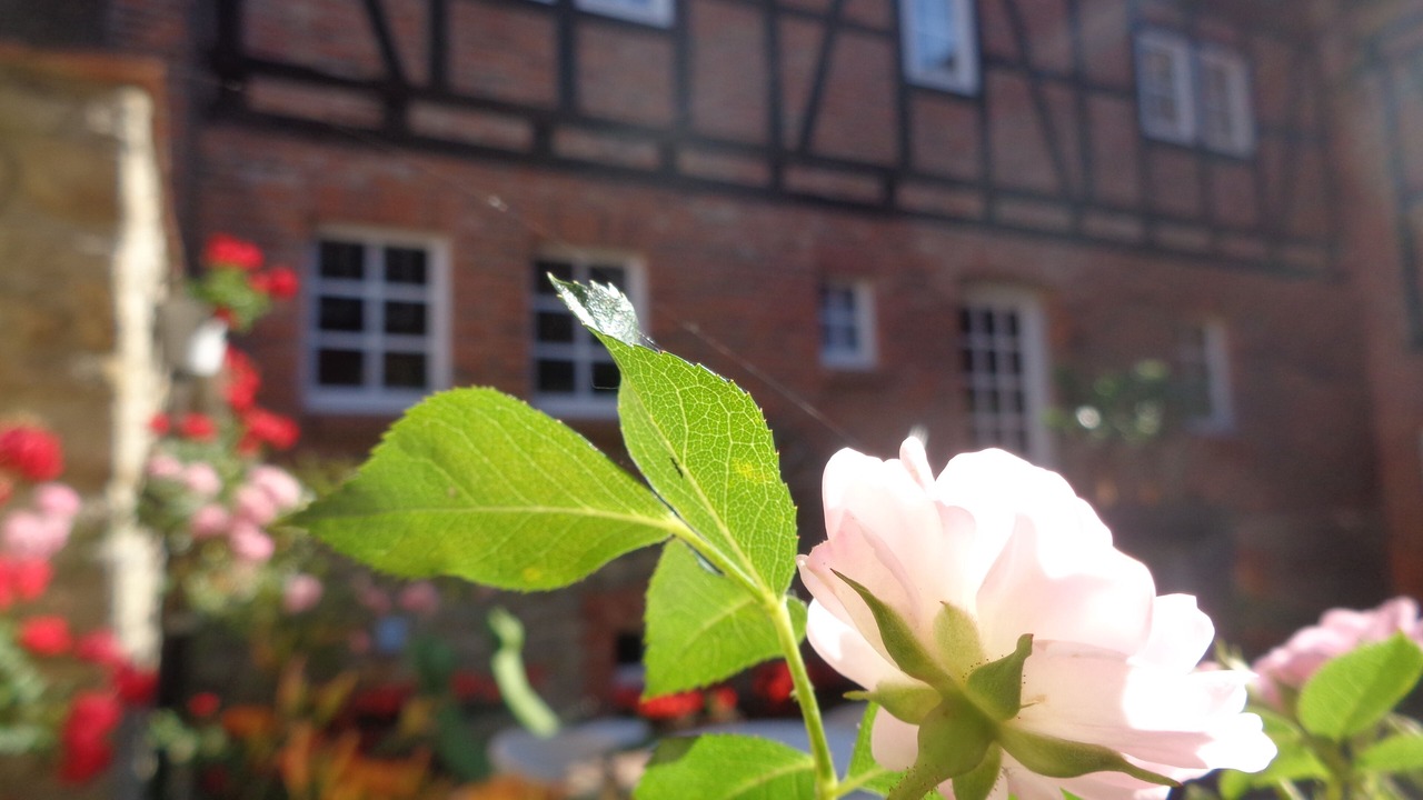 Photo of Outdoor in Eimersleben