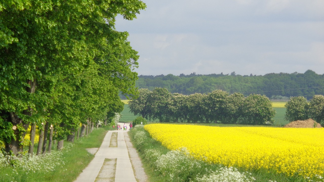 Photo of Outdoor in Eimersleben