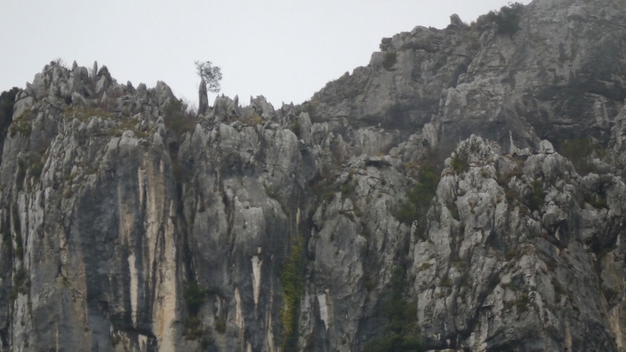 Photo of Others in Mirones