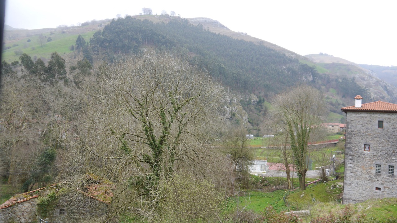 Photo of Others in Mirones