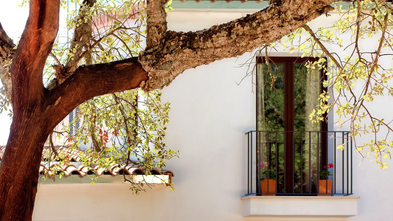 Photo of Patio Balcony in Grazalema