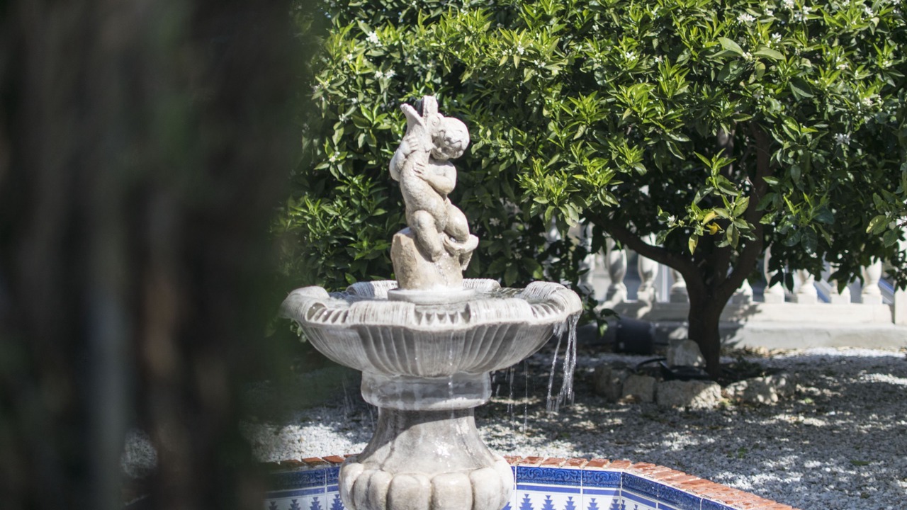 Photo of Outdoor in Torrox