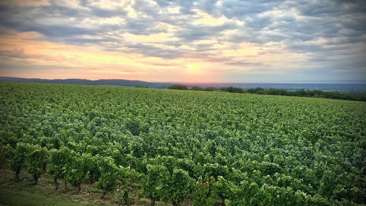 Photo of Outdoor in Lugny
