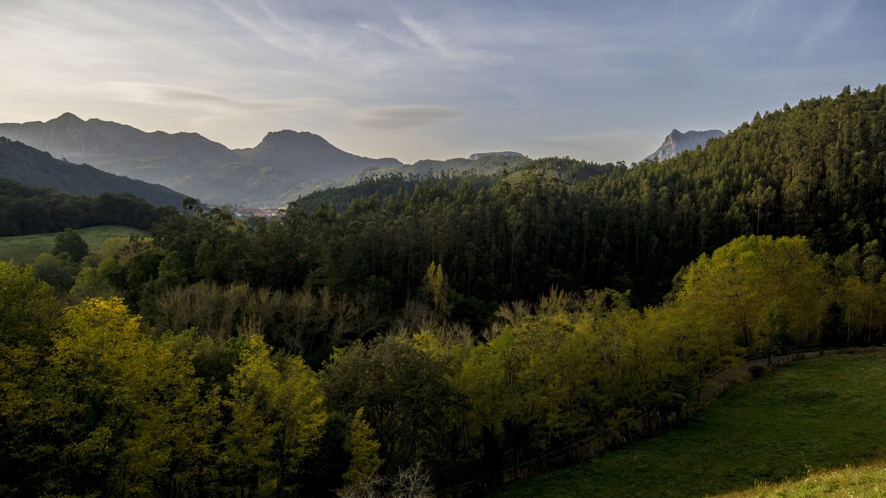 Photo of Outdoor in Riancho