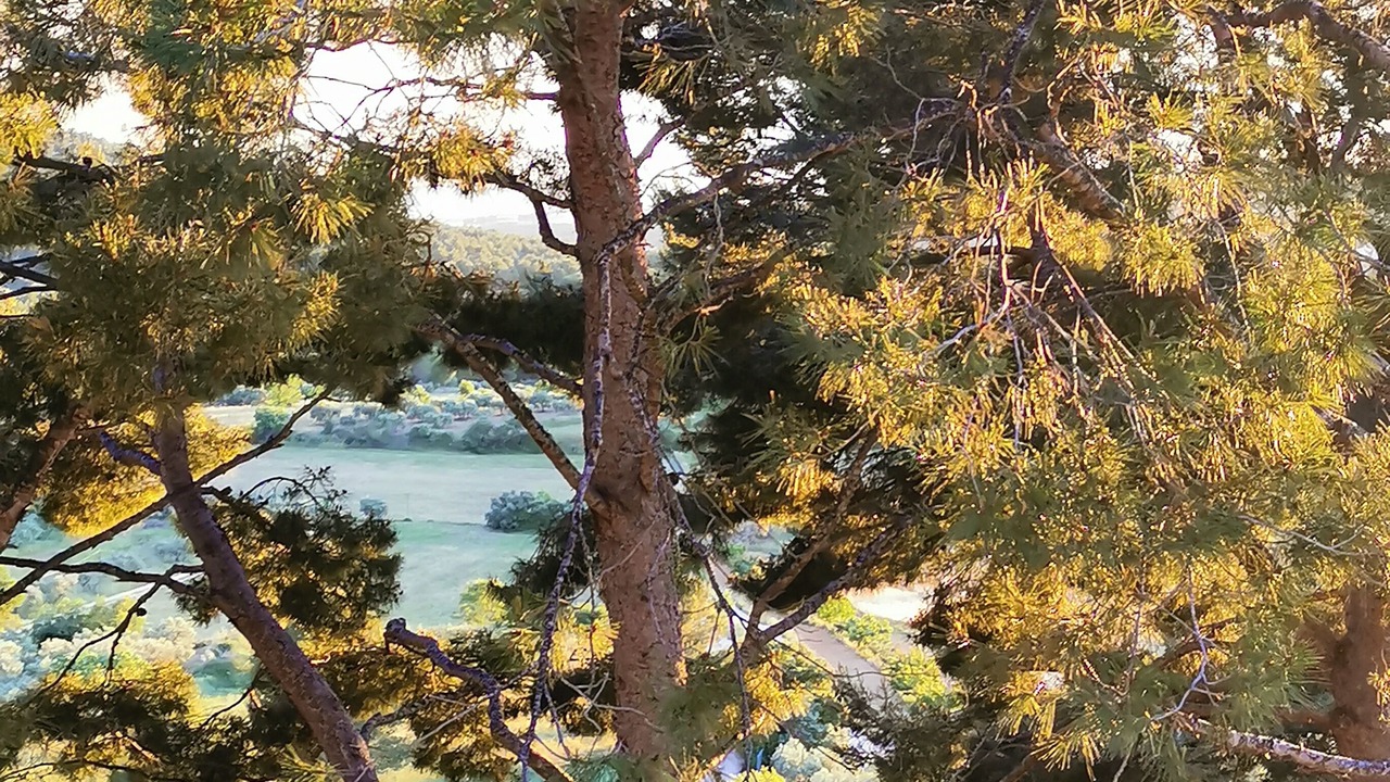 Photo of Outdoor in Velaux