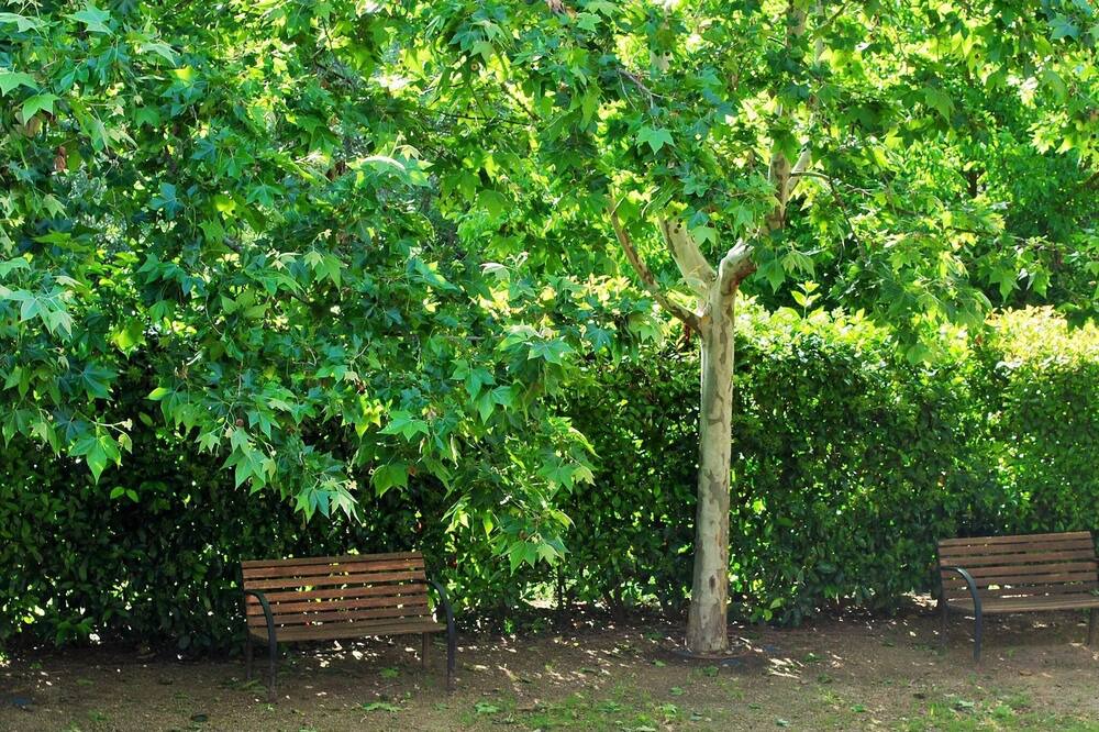 Photo of Outdoor in Cornudella de Montsant