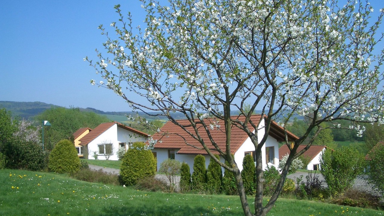 Photo of Outdoor in Uslar