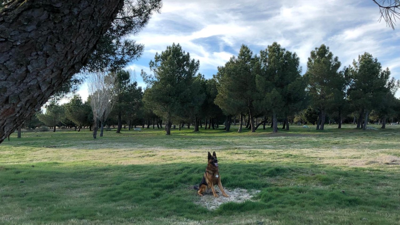 Photo of Outdoor in Guijuelo