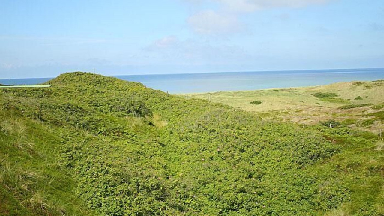 Photo of Others in Hornum