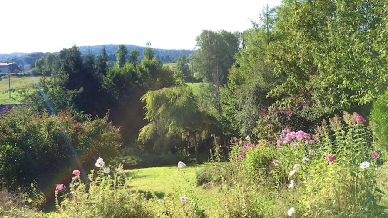 Photo of Outdoor in Foncine-le-Bas