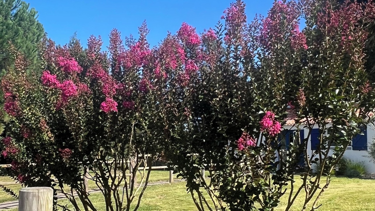 Photo of Outdoor in Sallertaine