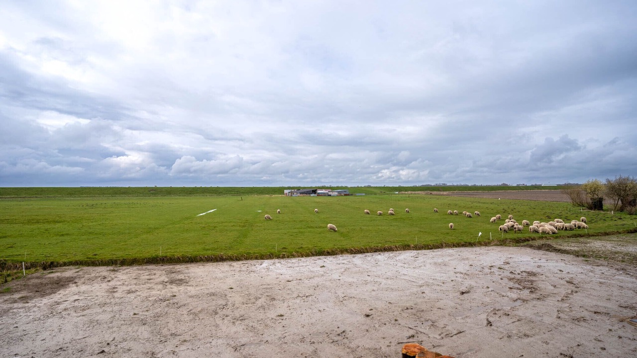 Photo of Others in Karolinenkoog