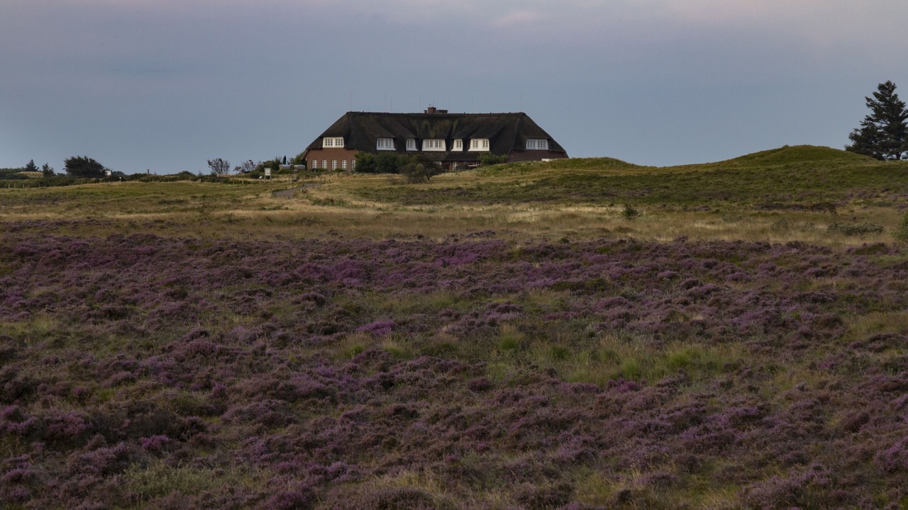 Photo of Outdoor in Morsum