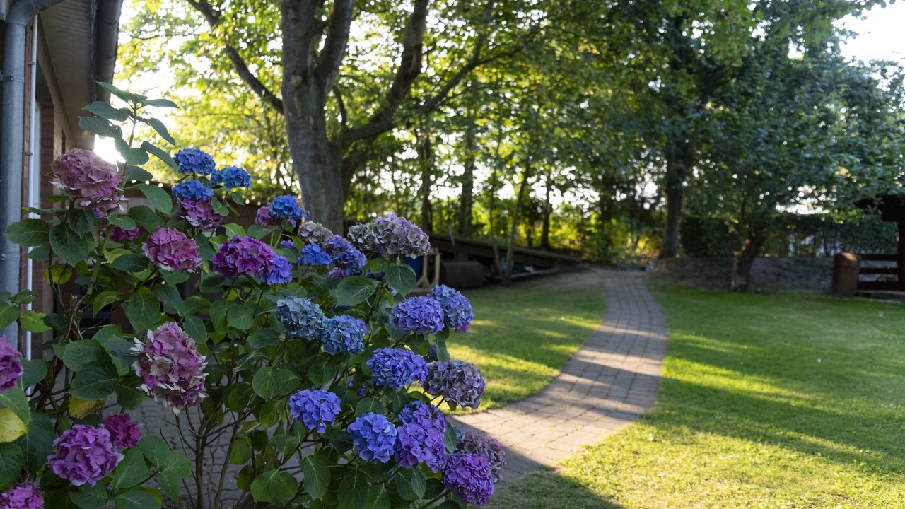Photo of Outdoor in Morsum
