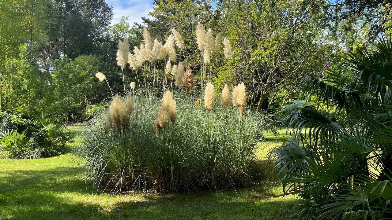 Photo of Outdoor in Costieres