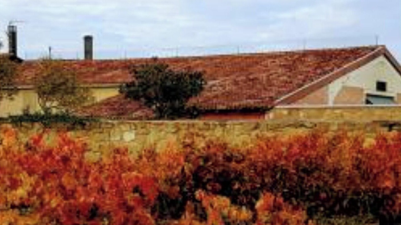 Photo of Outdoor in San Asensio