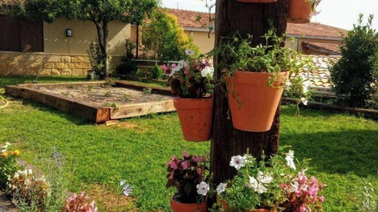Photo of Outdoor in San Asensio