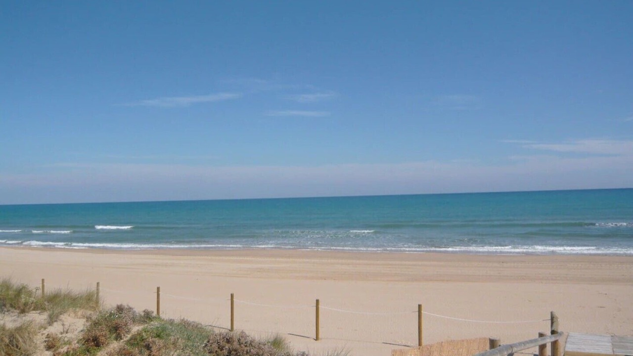 Photo of Others in Platja de Piles