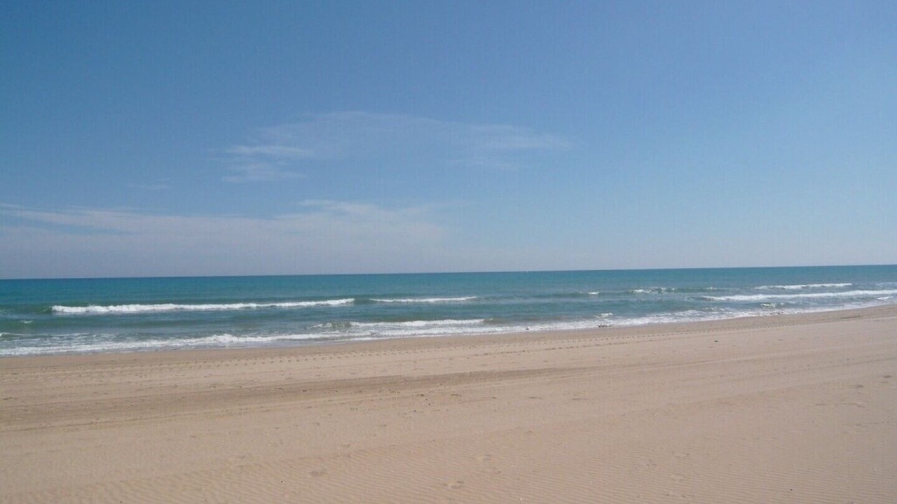 Photo of Others in Platja de Piles