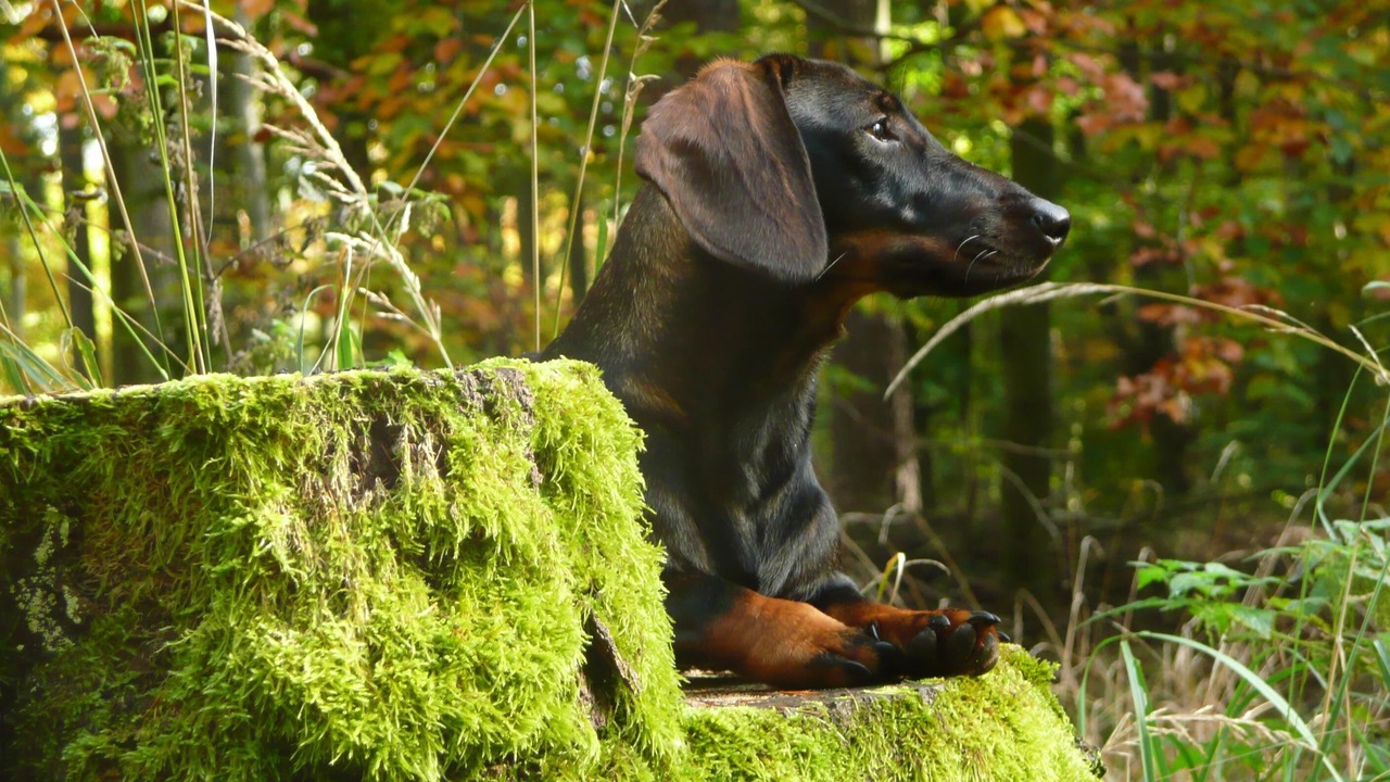 Photo of Others in Oberhavel