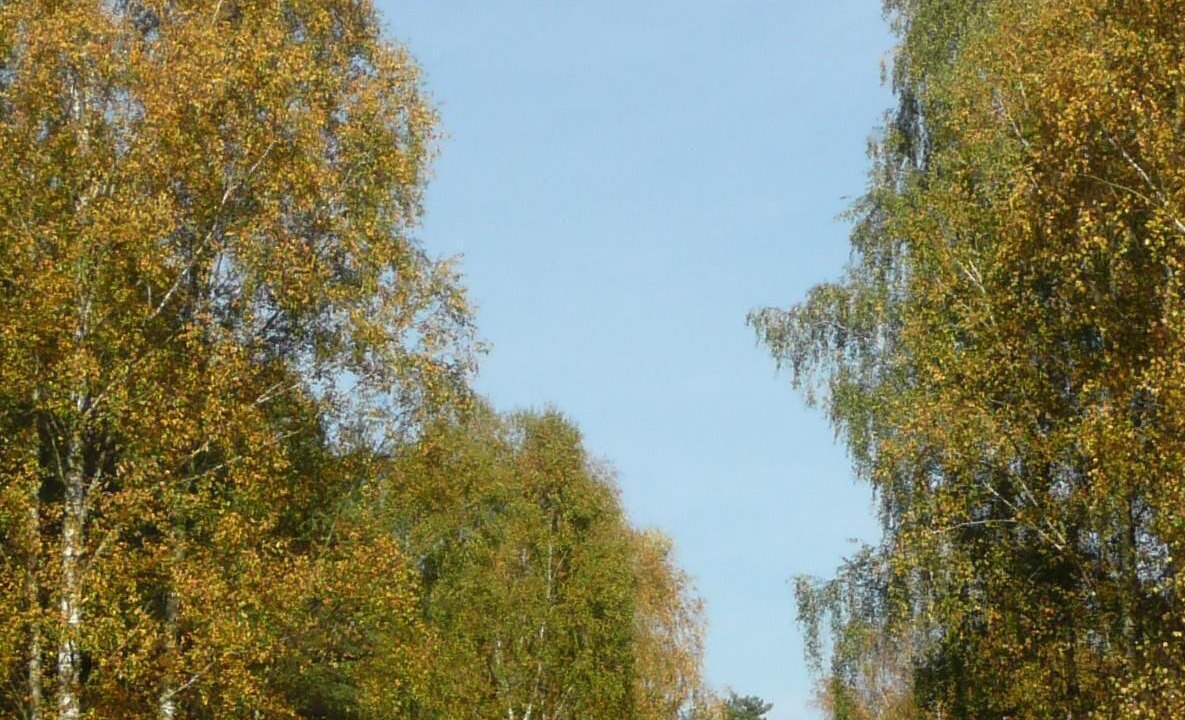 Photo of Outdoor in Oberhavel