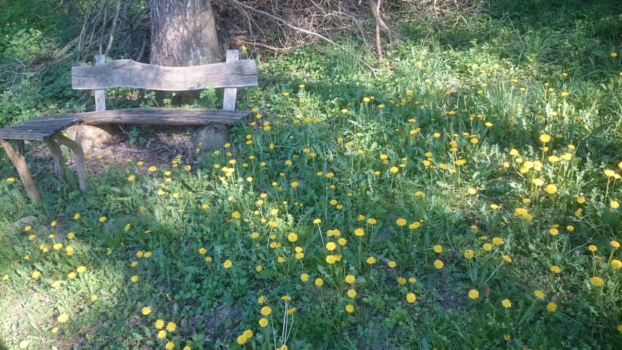Photo of Outdoor in Oberhavel