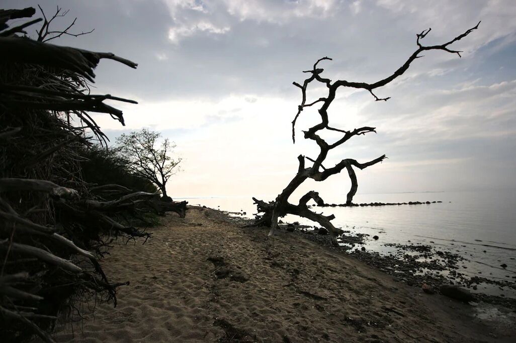Photo of Outdoor in Loissin