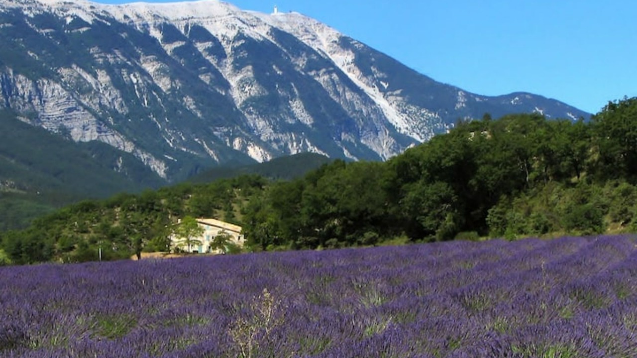 Photo of Others in Chateauneuf-de-Gadagne