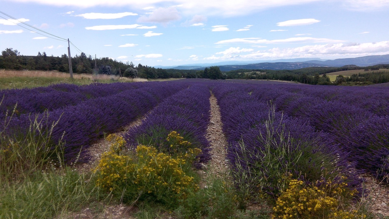 Photo of Outdoor in Chateauneuf-de-Gadagne