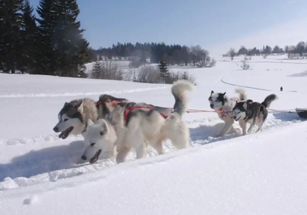 Photo of Outdoor in Mijoux