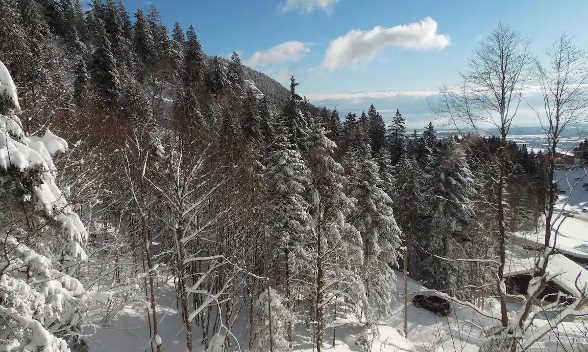 Photo of Outdoor in Mijoux