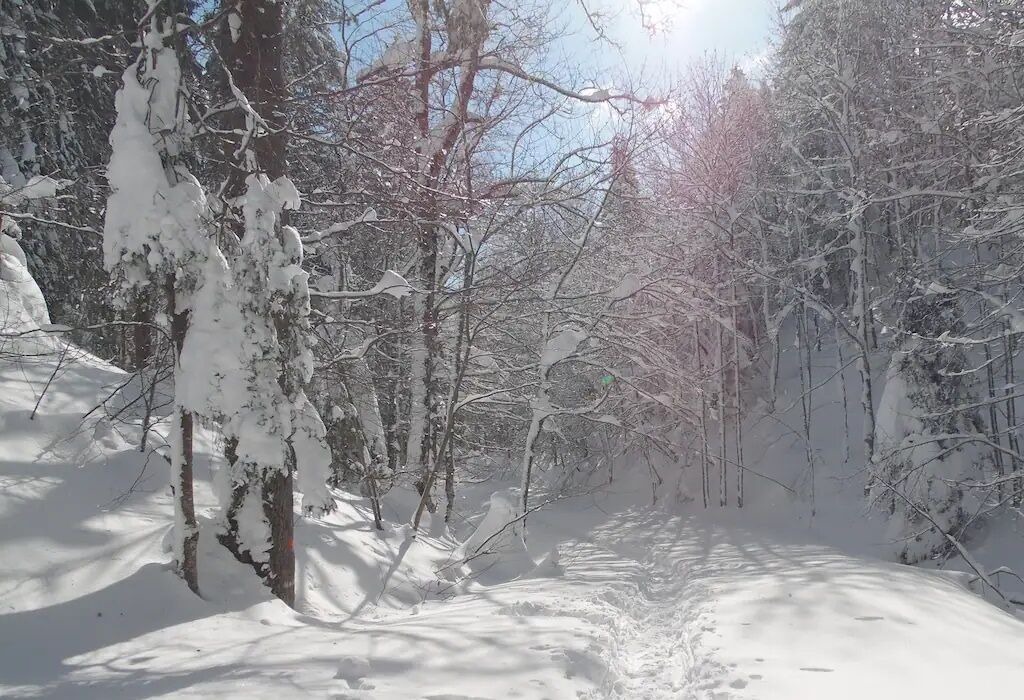 Photo of Outdoor in Mijoux