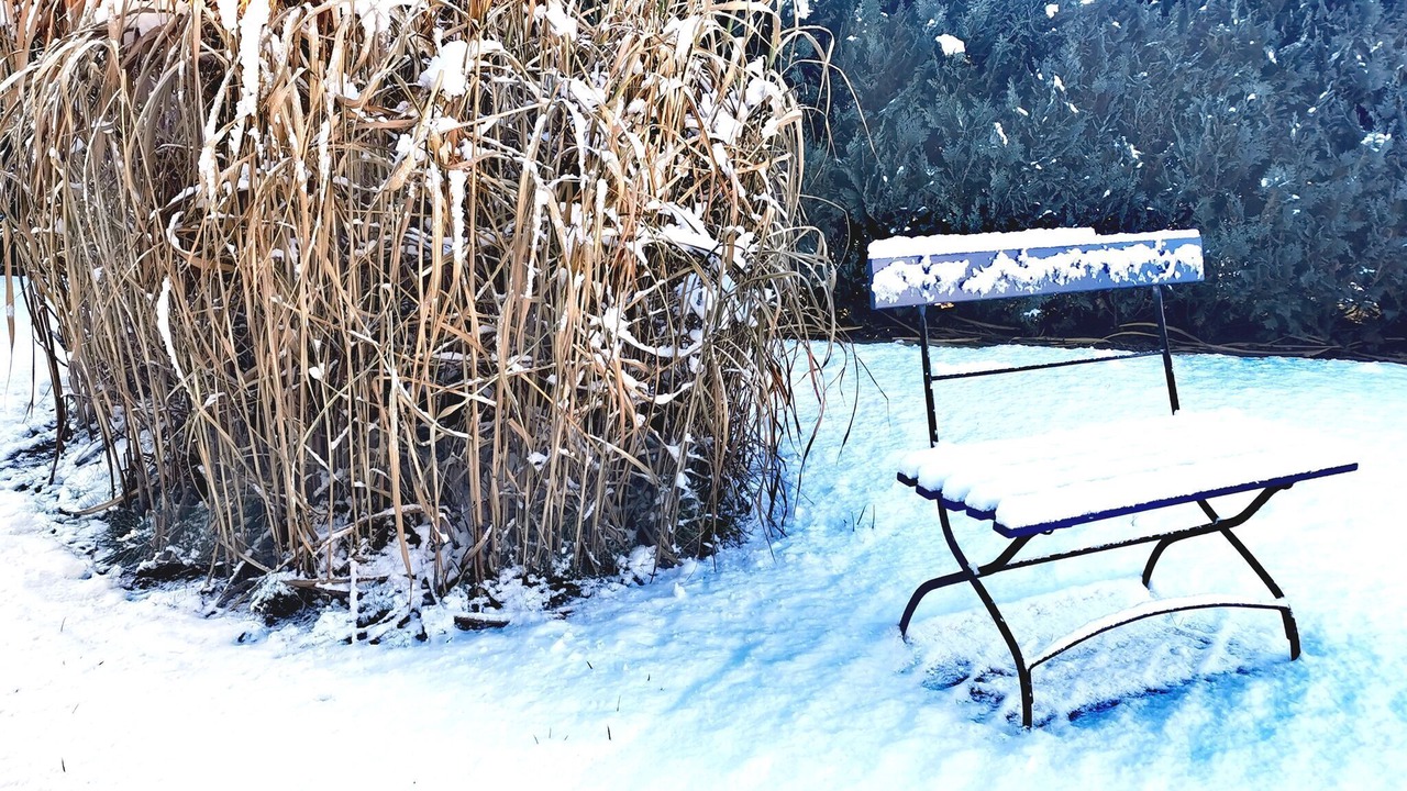 Photo of Outdoor in Lubmin