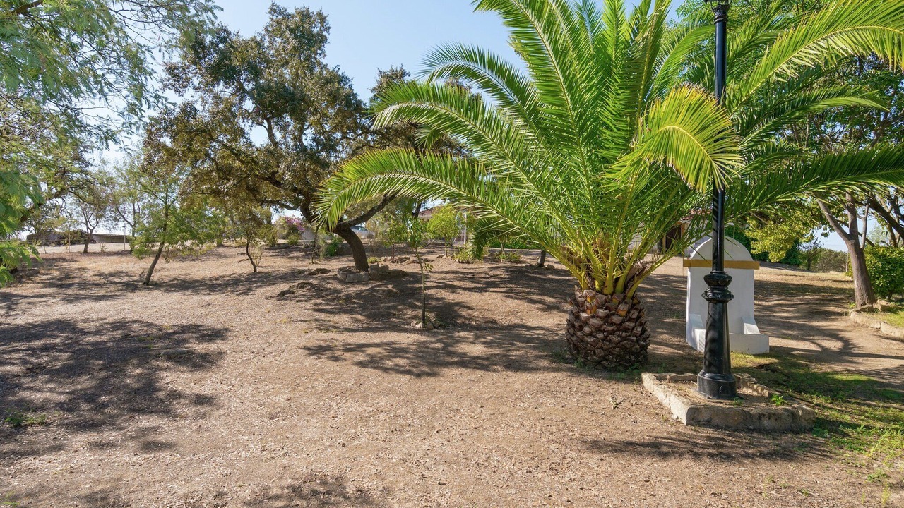 Photo of Outdoor in Herrera de Alcantara