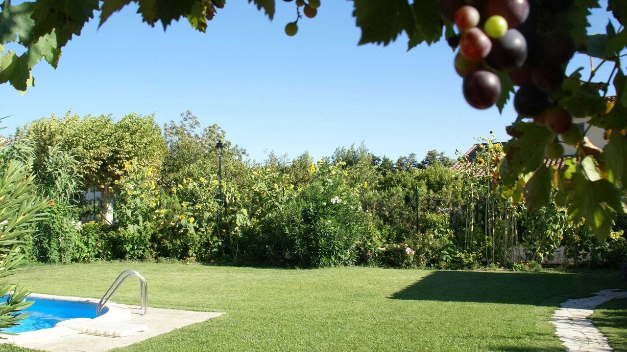 Photo of Outdoor in Noves