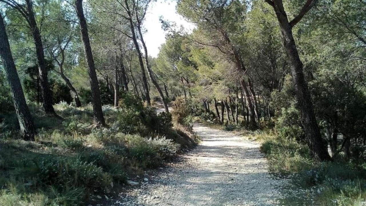 Photo of Others in Noves