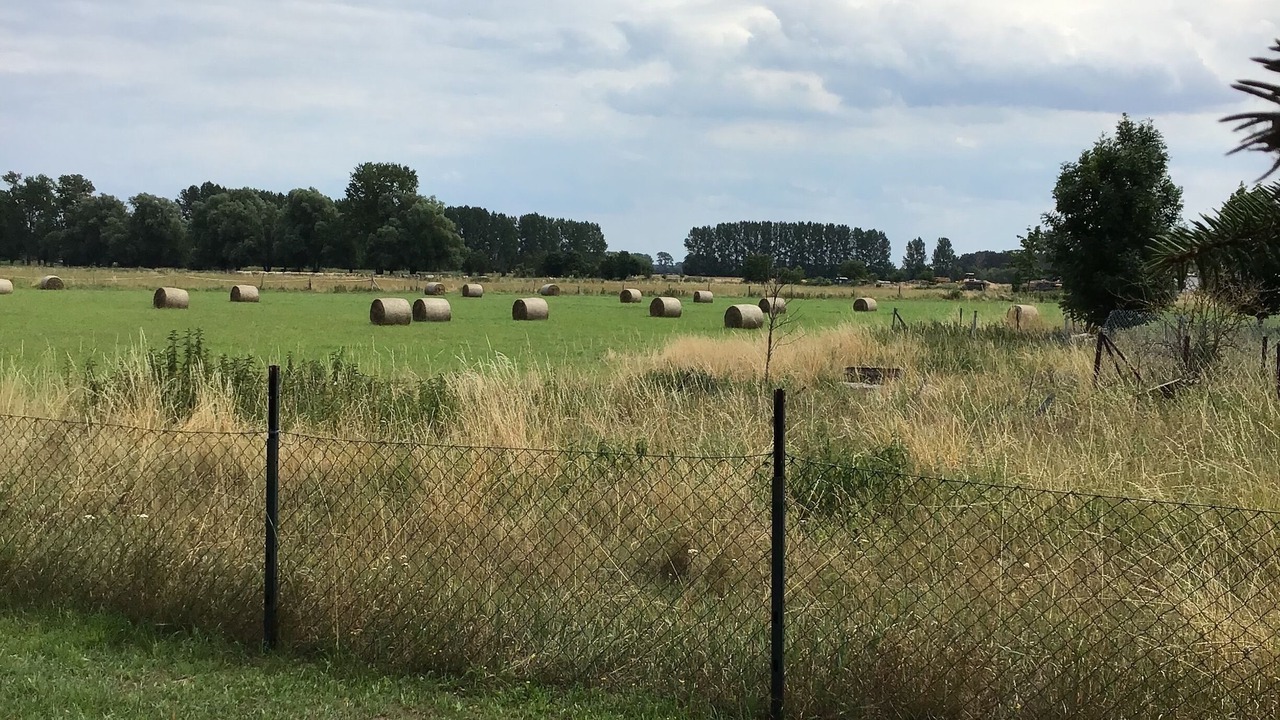 Photo of Outdoor in Oberhavel