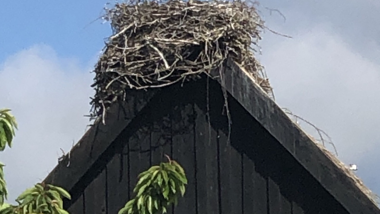 Photo of Outdoor in Stolpe auf Usedom