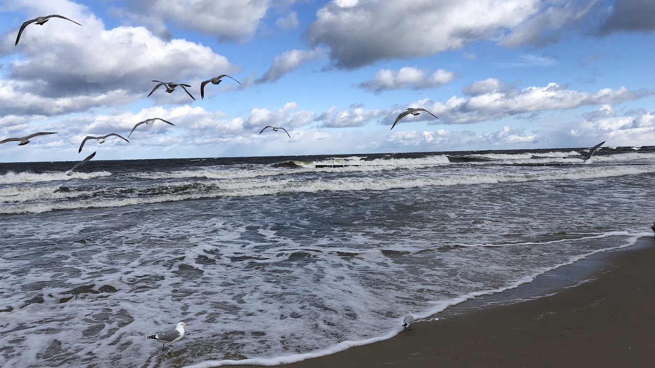 Photo of Others in Stolpe auf Usedom