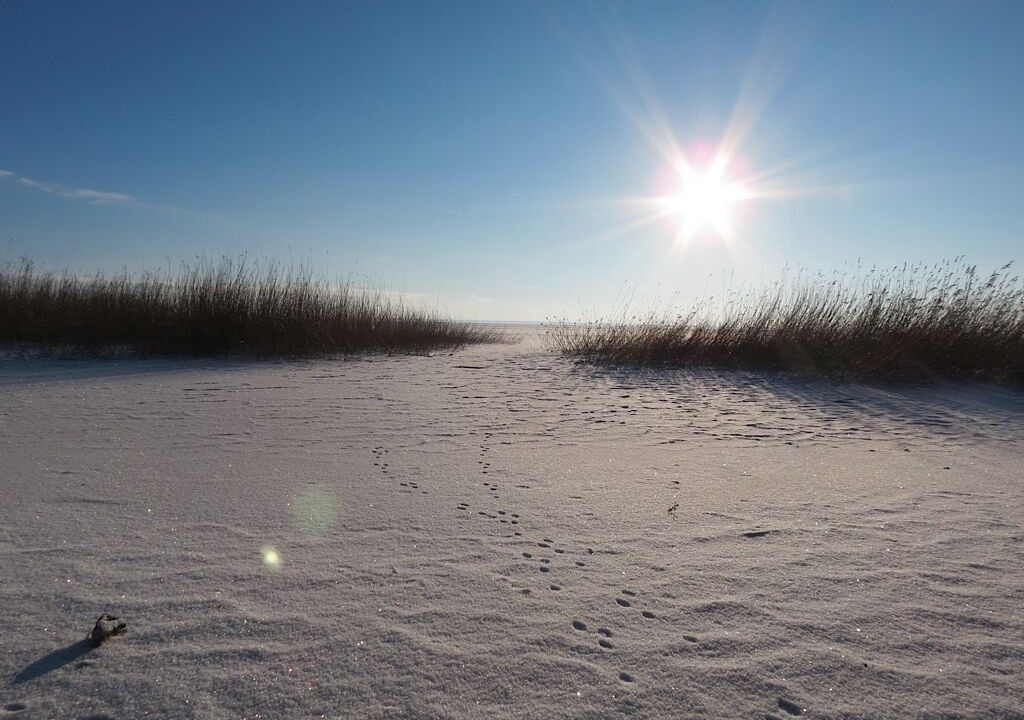 Photo of Others in Stolpe auf Usedom