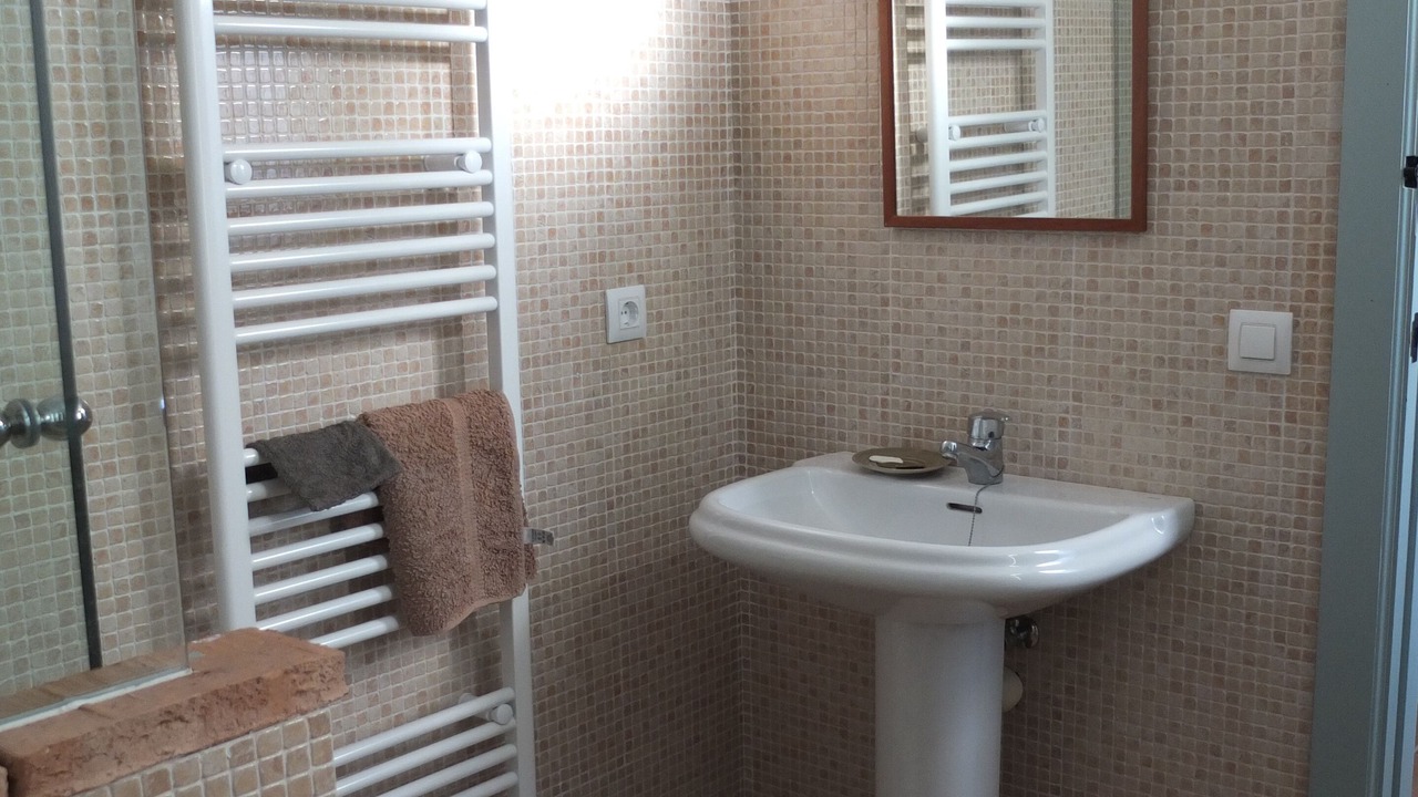 Photo of Bathroom in La Carlota