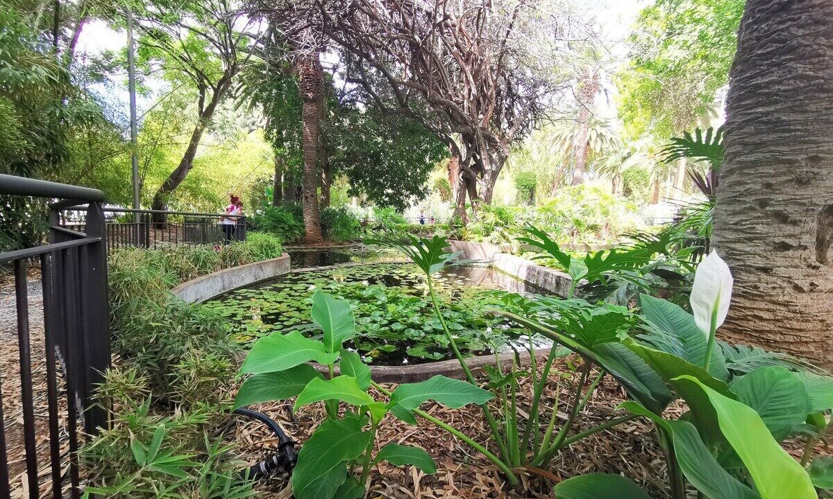 Photo of Outdoor in Santa Cruz de Tenerife