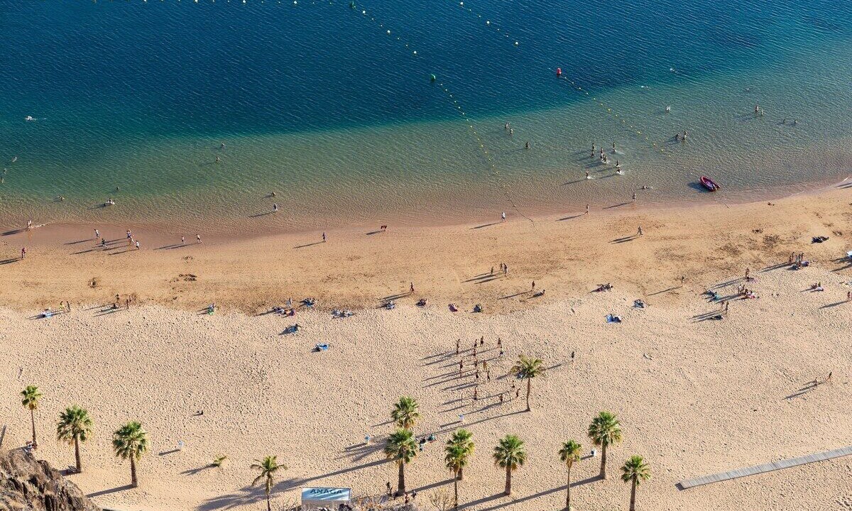 Photo of Others in Santa Cruz de Tenerife