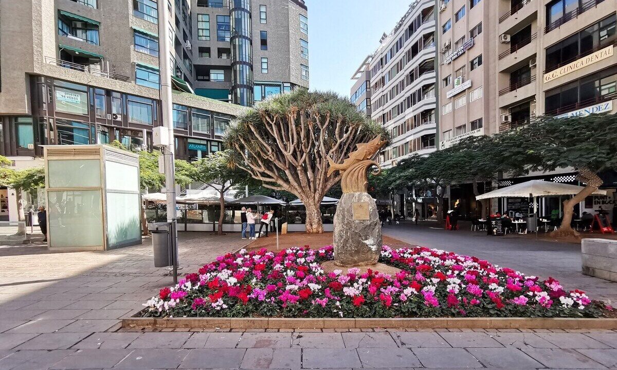 Photo of Others in Santa Cruz de Tenerife