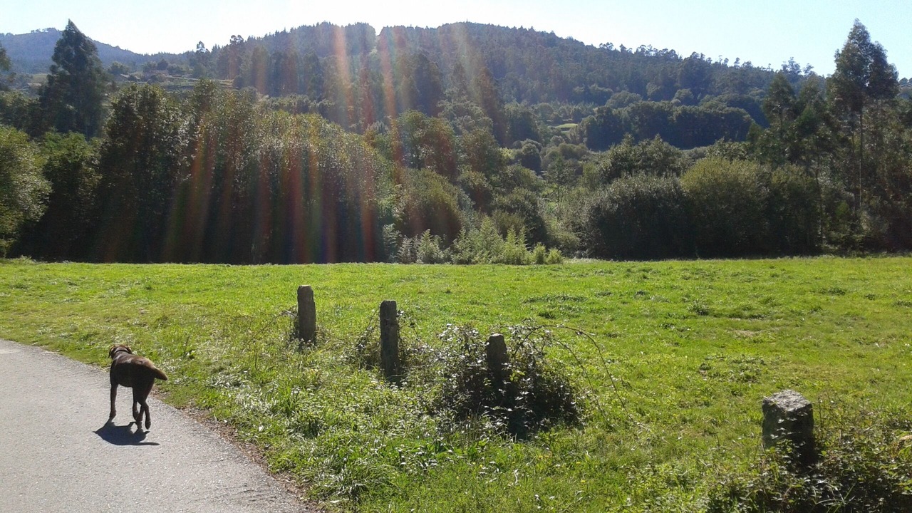 Photo of Outdoor in Morana
